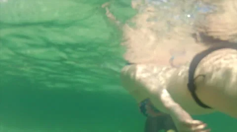 Divers Follow 60 Stock Footage 24324639