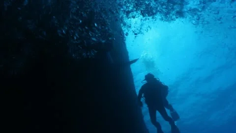 Divers 動画素材 11432067