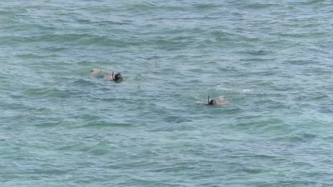 Divers Stock Footage 112708173