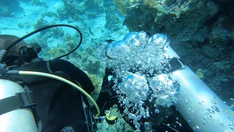 Divers Video stock 128390664