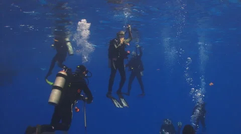 Divers getting ready to descend Vídeo Stock 5630335