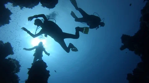 Divers go down in canyon of red sea Stock-Footage 128084320