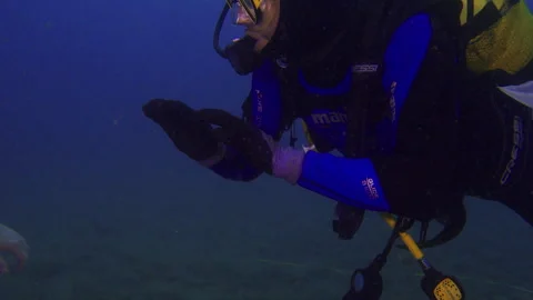 Divers hand signaling underwater Stock Footage 263115191