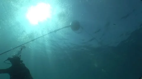 Divers Hanging onto an anchor Stock Footage 5325474