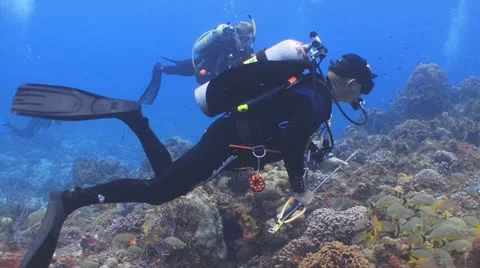 Divers hunting lionfish Видео 11237316