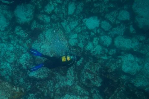 Divers in immersion in the reef Stock Photos