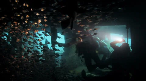 Divers inside the ship wreck surrounded by shoal of fish Stock Footage 22695200