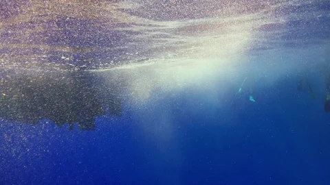 Divers Jump Into the Water Before Diving Stock Footage 93896580