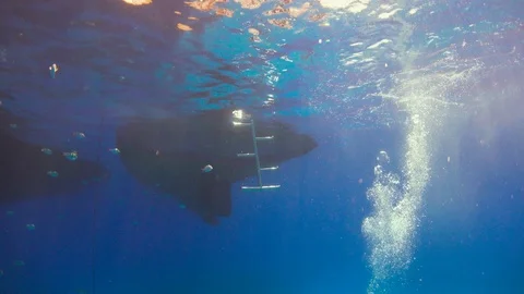 Divers Jump Into the Water Before Diving Stock Footage 93899752