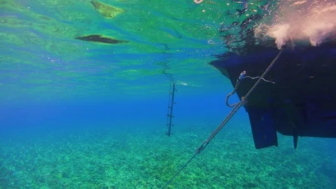 Divers Jump Into the Water Before Diving Stock Footage 93910549