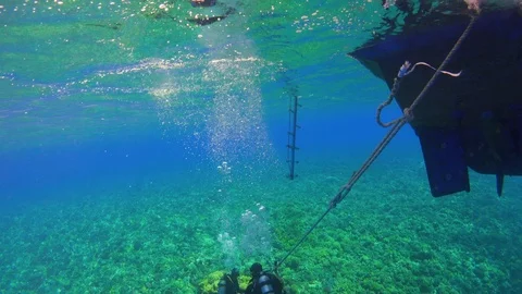 Divers Jump Into the Water Before Diving Stock Footage 93910603