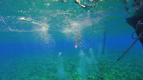 Divers Jump Into the Water Before Diving Stock Footage 93910653