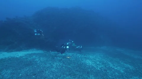 Divers light up the rocky seabed and a string jellyfish appears, Med Sea, Italy Stock Footage 115442444