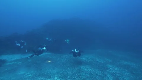 Divers light up the rocky seabed finding something, Mediterranean Sea, Italy Stock Footage 115440264