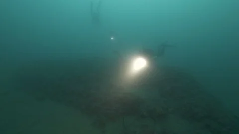 Divers lights up encrusted anchor and fishes,Banco Santa Croce,Mediterranean Sea Stock Footage 104701122
