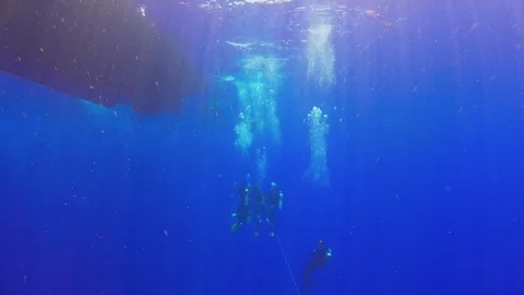 Divers Make Decompression Stock Footage 93896576