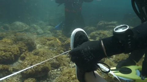 Divers making detections near the foot of the dummy, Ustica, Mediterranean sea Stock Footage 124263797