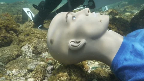 Divers making detections near the head of the dummy, Ustica, Mediterranean sea Stock Footage 124268877