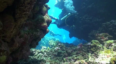 Divers in Malahi Stock Footage 33531831