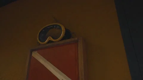 Diver's mask at the forest Stock-Footage 151048602