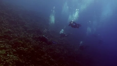 Divers near wreck ship underwater on coral reef Abu Nuhas in Red sea. Stock Footage