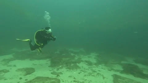 Divers Pass School of Yellowjack in Baja California Mexico Stock Footage 254285058