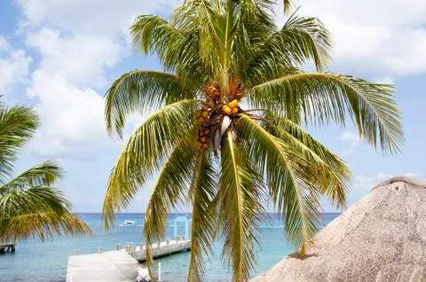 Divers' pier Stock Photos