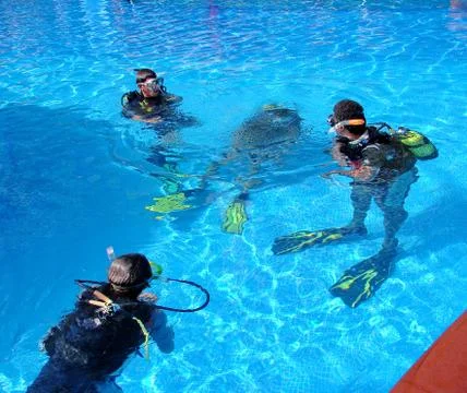 Divers in a pool. Diving class in a pool Stock Photos