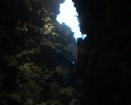 Divers pov inside underwater cave Video stock 459421