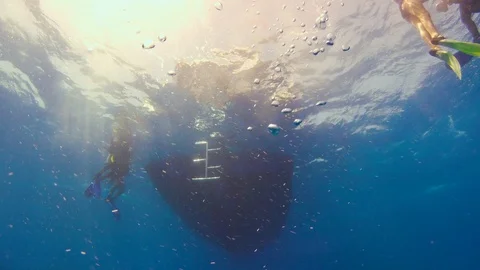Divers Preparing to Dive near Ship Stock Footage 92145076