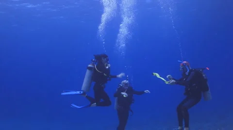 Divers ready to surface Видео 1088972