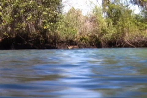 Divers Rise Up Out of Spring With Water Blur Effect Over the Lens Snorkeling Stock Footage 142420