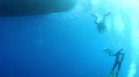 Divers on saftey stop Stock Footage 10587047