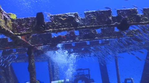 Divers in shipwreck Vidéo 1102859