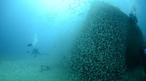 Divers in shipwreck Stock Footage 33850878