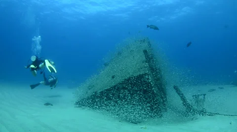 Divers in shipwreck Stock Footage 33862284