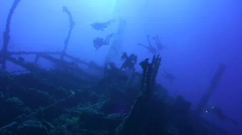 Divers on the Shipwreck SS Numidia Stock Footage 738366
