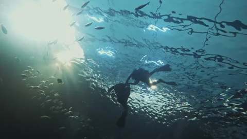 Divers silhouettes in wetsuits with oxygen cylinders in a large aquarium feed Stock Footage 282219036