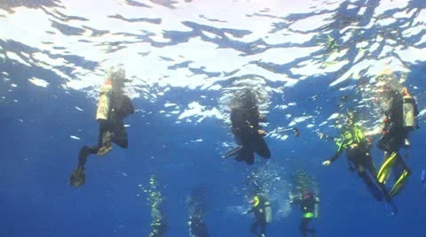 DIVERS ON SURFACE 库存影片 12547267