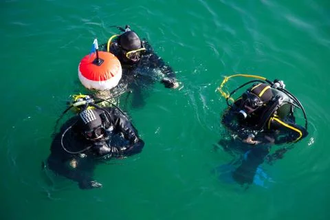 Divers on surface Stock Photos