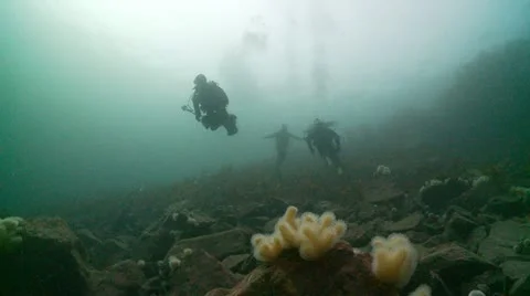 Divers surfice r 2 Stock Footage 12537001