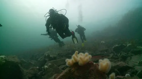 Divers surfice r3 Video stock 12537352