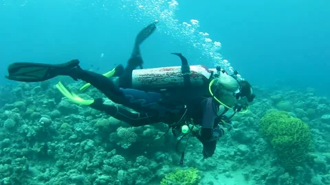Divers swim together breathing from a common diving regulator at sea Stock Footage 176777771