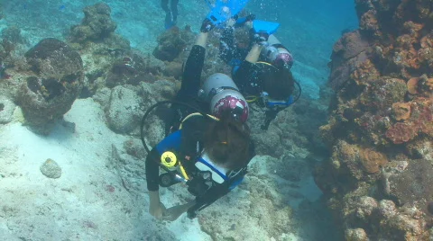 Divers swimming toward camera Stock Footage 640334