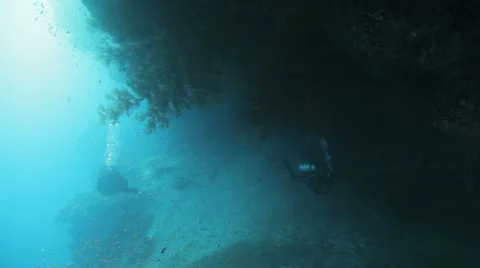 Divers swimming under neath the over hang Stockbeeldmateriaal 22642636