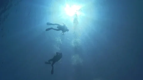 Divers Swims over camera Stock Footage 38279152