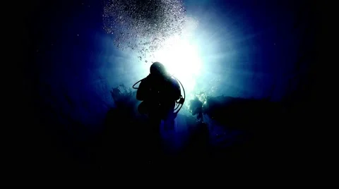 Divers Swims over Camera Stock Footage 64962503
