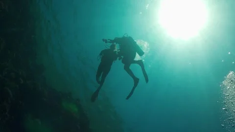 Divers Swims over Camera Stock Footage 254736325