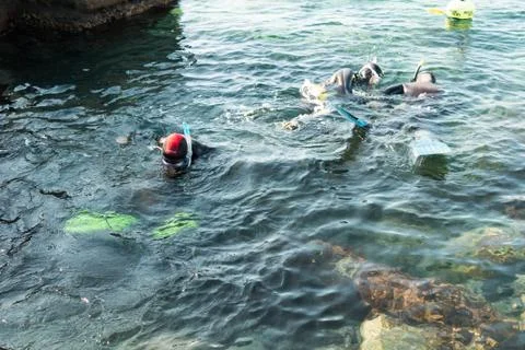 Divers in training Stock Photos