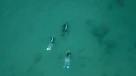 Divers Underwater (drone view) Video stock 98271556